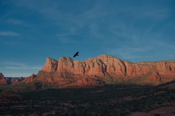 06 Raven On The Ranges